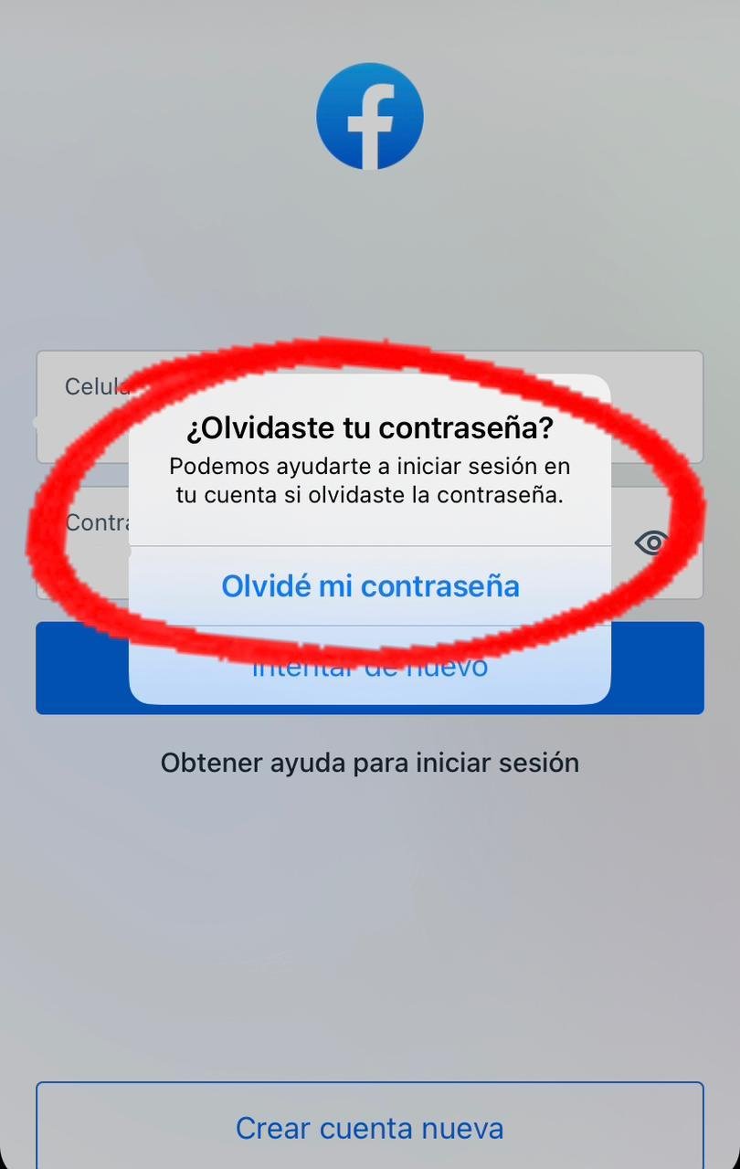 Qué hacer si sospechas que‌ tu cuenta​ ha ⁣sido comprometida