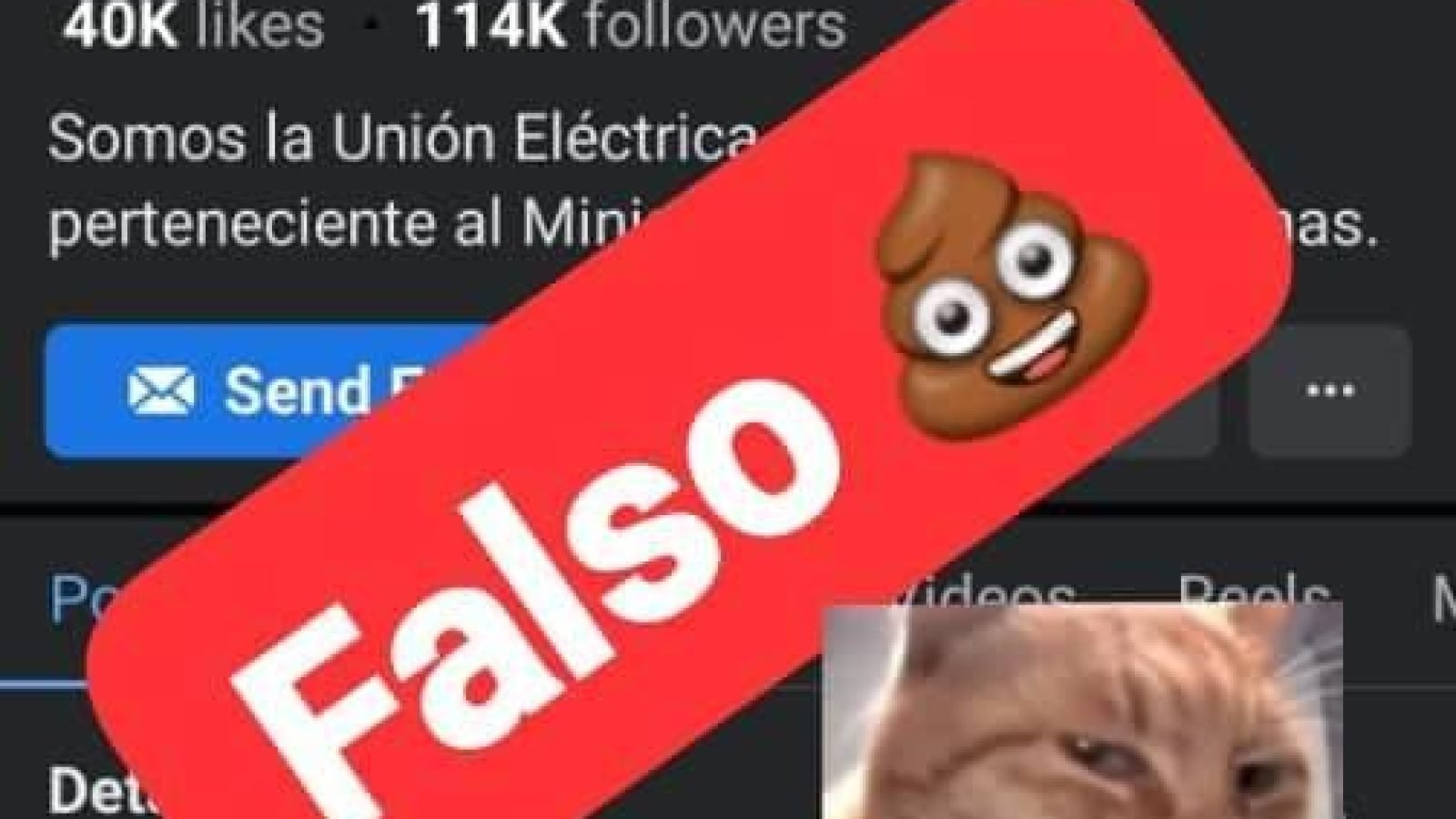 Cómo Reportar un Canal Fraudulento en Telegram: Guía Completa